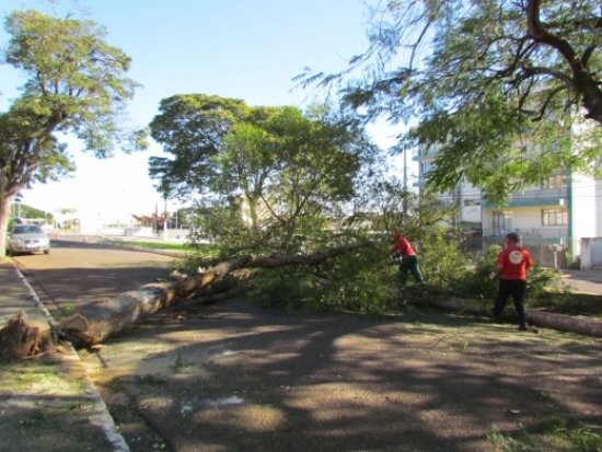 recape-aslfatico-e-aquisicao-de-guindaste-sao-temas-de-proposicoes-dos-vereadores