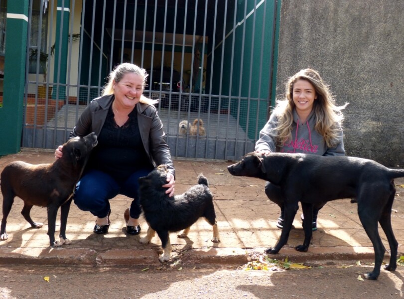 projeto-estabelece-normas-para-atendimento-e-protecao-ao-animal-comunitario