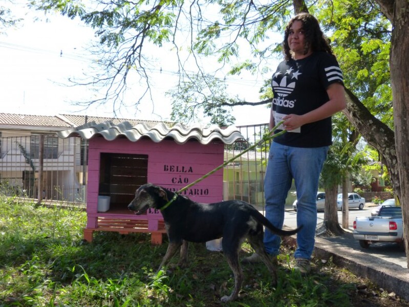 bella-a-vira-lata-da-rodoviaria-e-o-primeiro-animal-comunitario-de-marialva
