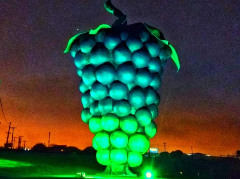 campanha-setembro-verde-incentiva-doacoes-de-orgaos-e-tecidos