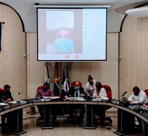 camara-realiza-primeira-sessao-com-participacao-remota